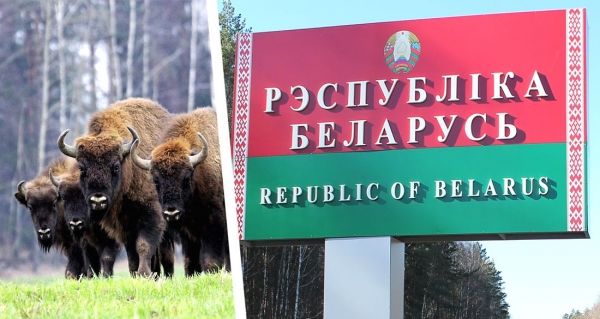Белоруссия осталась без российских туристов: отдыхающие испугались беспорядков
