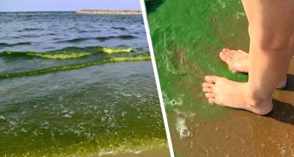 На пляжах Анталии вода позеленела и пожелтела, напугав туристов