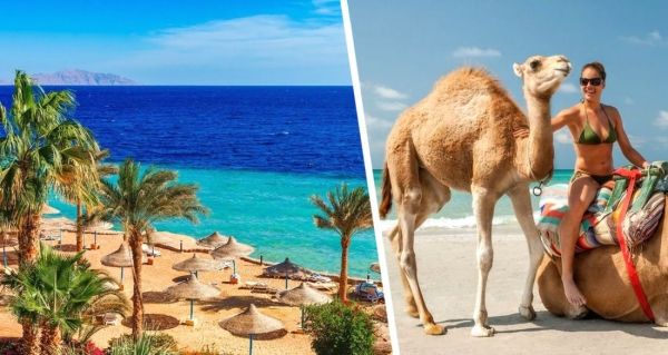 Египет: в Хургаде и Шарм-эль-Шейхе не было ни одного случая Covid-19 с момента возобновления туризма