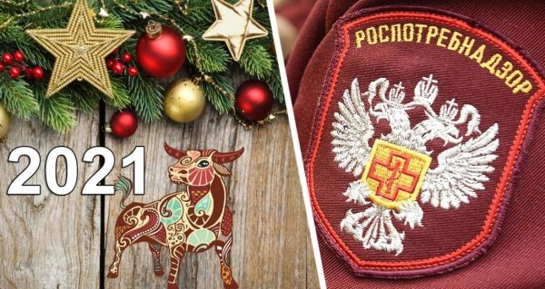 Родственников и друзей не приглашать, за границу не ездить: Роспотребнадзор дал рекомендации по встрече Нового года