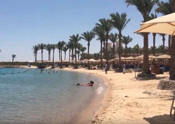 В Хургаду и Шарм-эль-Шейх пришло тепло: российские туристы не вылазят из моря