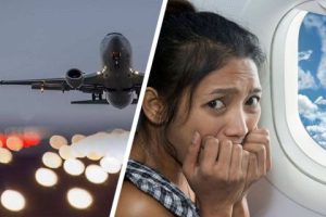 Самолет с российскими туристами экстренно сел в другой стране