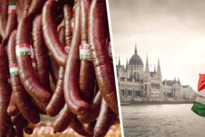 Российская туристка назвала 5 продуктов, которые в Венгрии есть в любом супермаркете, а в России не найти