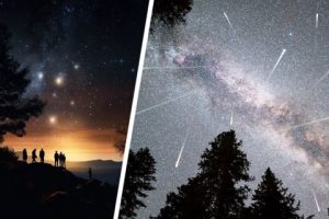 Туристов в Таиланде пригласили на выходные вечером выйти из отелей и посмотреть на небо