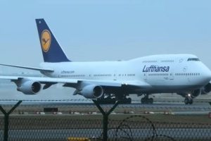 Lufthansa предложила 500 долларов туристу, обжегшемуся кофе на рейсе в Будапешт