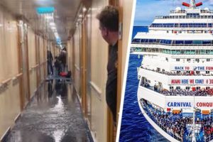 На круизном лайнере началась паника из-за прорыва трубы