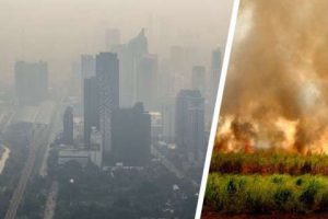 На Бангкок и Паттайю надвигается дым от больших пожаров