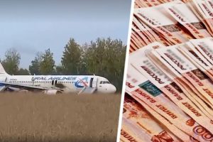 Колхоз потребовал с Уральских авиалиний 1,2 миллиона рублей за посадку на его поле