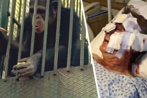 На туриста напала банда за то, что решил помочиться на обочине, столкнув его в 50-метровую пропасть