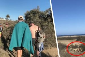 Полицейские начали преследование помешанных на сексе туристов