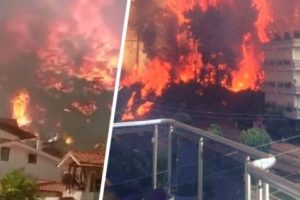 После Греции пожары накрыли курорты другой страны, выйдя за пределы Средиземноморья