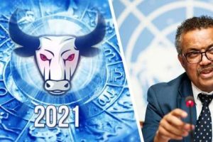 ВОЗ: забудьте о нормализации туризма в 2021 году