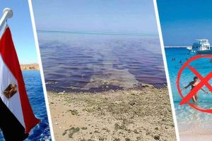 Катастрофа под Хургадой: землетрясение привело к нефтяному загрязнению пляжей и выбросу токсичных газов. ФОТО