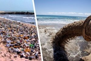 В ООН назвали самое грязное море в мире