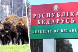 Белоруссия объявила, что ее санатории для российских туристов обойдутся на 20% дешевле, чем в РФ
