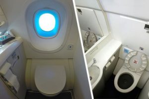 Стюардесса раскрыла, где находится секретный тайник в туалете самолета