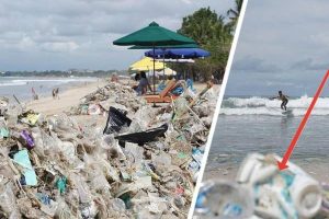 Популярные у туристов пляжи Бали превратились в мусорные свалки. ФОТО