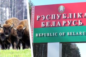 Белоруссия осталась без российских туристов: отдыхающие испугались беспорядков