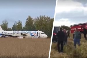 Самолёт с российскими туристами сел на пшеничное поле
