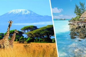 Coral Travel запускает чартер на Занзибар: озвучены расписание и цены на туры в Танзанию