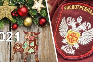 Родственников и друзей не приглашать, за границу не ездить: Роспотребнадзор дал рекомендации по встрече Нового года