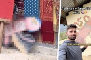 Турист попал в деревню фаллосов и был удивлен, что они там повсюду
