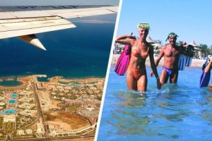 KLM возобновляет полеты в Египет. Когда же для российских туристов откроют Хургаду и Шарм-Эль-Шейх?